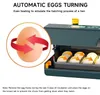 Zimilo Inkubator mit Sichtfenster, automatische Produktbild-Vorschau 7