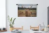 MuchoWow® Wandteppich Wandbehang Rotwild - Natur - Wiese Produktbild-Vorschau 4