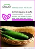 SAFLAX  - Cetriolo spugna di Luffa - 10 semi - Luffa Anteprima dell’immagine prodotto 1
