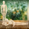 Kurtzy Marionnette articulée en bois 30,5cm Marionnette en Voir les images du produit 2