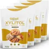 Xylitol berkenbessenzoetstof 20 kg, suikervervanger, Productafbeelding-voorbeeld 1