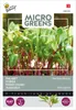 Miscela di bietole arcobaleno | Microgreens di Buzzy Seeds Anteprima dell’immagine prodotto 1