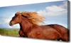 Tulup Leinwand-Bilder 125x50 Wandbild Canvas Kunstdruck Produktbild-Vorschau 1