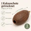 Kakaoschote getrocknet 10-15 cm echte Kakaofrucht ohne Produktbild-Vorschau 2
