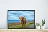 MuchoWow® MuchoWow® Gerahmtes Poster Schottische Produktbild-Vorschau 5