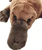 Süßes Plüsch Schnabeltier 28 cm, waschbares Kuscheltier für Produktbild-Vorschau 7