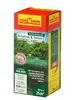 Schatten-Rasensamen "Supra" Rasensamen für ca. 25qm Produktbild-Vorschau 6