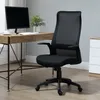Vinsetto Bürostuhl Kopflehne Home-Office-Stuhl Produktbild-Vorschau 2