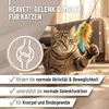 Gelenk Complex Katzen 50g Produktbild-Vorschau 2