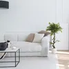 hjh OFFICE Umelá rastlina FICUS I Umelá rastlina breza Náhľad obrázku produktu 5