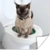 MuchoWow® Poster Eine birmanische Katze sitzt auf der Produktbild-Vorschau 1