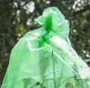 Tomaten Folien-Reifehaube 5 Stück Produktbild-Vorschau 4