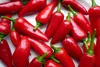 SAFLAX Anzucht Set - BIO - Chili - Barak - Capsicum annuum Produktbild-Vorschau 5