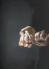 raxxa Premium-Puzzle "Garlic", 1000 Teile Produktbild-Vorschau 2