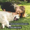 REAVET Darm Prebiotic für Hunde 150g - Präbiotikum zur Produktbild-Vorschau 5
