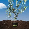 Aloe Crème visage hydratante à l’acide hyaluronique à Voir les images du produit 2