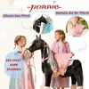Cavallo meccanico da equitazione Ponnie Domino M con sella Anteprima dell’immagine prodotto 4