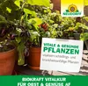 Neudorff BioKraft Vitalkur für Obst und Gemüse AF 500 ml Produktbild-Vorschau 6