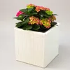 Elegant Einrichten | Pflanzkübel | Polyrattan | quadratisch Produktbild-Vorschau 1