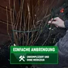 GardenGloss® Strauchstützen aus beschichtetem Stahl (10 Produktbild-Vorschau 5