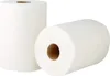 Renova rotoli da cucina Maxi Absorption Extra XXL 2 rotoli Anteprima dell’immagine prodotto 1