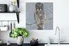 MuchoWow® Poster Eule im Schnee 50x50 cm - Produktbild-Vorschau 3
