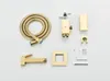 Bidetarmatur Ari Classic, Wandmontage, Messing, Produktbild-Vorschau 11