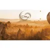 Bambi Boxspringbett 180x200 mit Bettkasten mit Matratzen Produktbild-Vorschau 16