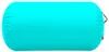vidaXL Aufblasbare Gymnastik-Rolle mit Pumpe 120x90 cm PVC Produktbild-Vorschau 2