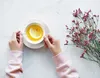 Seltmann Weiden Life Fashion Kaffeetasse mit Untertasse 6er Produktbild-Vorschau 4