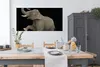 MuchoWow® Poster Elefant mit erhobenem rechten Bein auf Produktbild-Vorschau 3