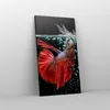 Bild auf Leinwand - Leinwandbild - Fisch Wasser Natur - Produktbild-Vorschau 4