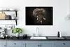 MuchoWow® Gerahmtes Poster Alte Meister - Elefant - Anzug Produktbild-Vorschau 3