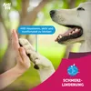 A person is giving a dog a high-five, with text overlays promoting a product. Produktbild-Vorschau