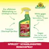 Neudorff Spruzit AF Schädlingsfrei RosenSpray 750 ml Produktbild-Vorschau 2