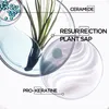 Kerastase Resistance Ciment Thermique, cemento termico Anteprima dell’immagine prodotto 12