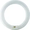 A circular fluorescent light bulb on a white background. Produktbild-Vorschau