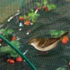 Filet de protection oiseaux "Birdnet" - 2 x 10 m - Vert Voir les images du produit 3