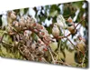 Tulup Leinwand-Bilder 100x50 Wandbild Canvas Kunstdruck Produktbild-Vorschau 1