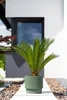 Pot de plantes 40 x 38 cm - Pot de fleurs 38L avec pot Voir les images du produit 16