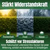 Heckenretter Heckendünger Dünger für grüne Hecken Turbo Produktbild-Vorschau 7