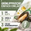 REAVET Grünlippmuschel Kapseln 300 Stück Hund hochdosiert - Produktbild-Vorschau 4