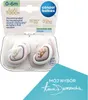 A product package containing two pacifiers for babies. Produktbild-Vorschau