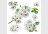 AG Design Wandstickers Apfelblüte, 30 x 30 cm Produktbild-Vorschau 6