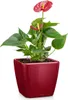LECHUZA plantpot QUADRO Premium LS 21, rood, hoogglans | Productafbeelding-voorbeeld 4
