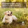 AniForte Vervain Bachblüten zur Beruhigung bei niedriger Produktbild-Vorschau 5