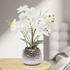 Kunstpflanze Künstliche Orchidee mit Topf Kunstblume Produktbild-Vorschau 8