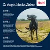 HALTI No Pull Anti-Zug Geschirr Größe S, gepolstert, Produktbild-Vorschau 4