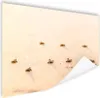 MuchoWow® Poster Baby-Schildkröten Fotodruck 60x40 cm - Produktbild-Vorschau 1