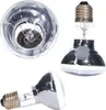 Repti-Zoo Néodyme lumière du jour 75W - ampoule chauffante Voir les images du produit 5